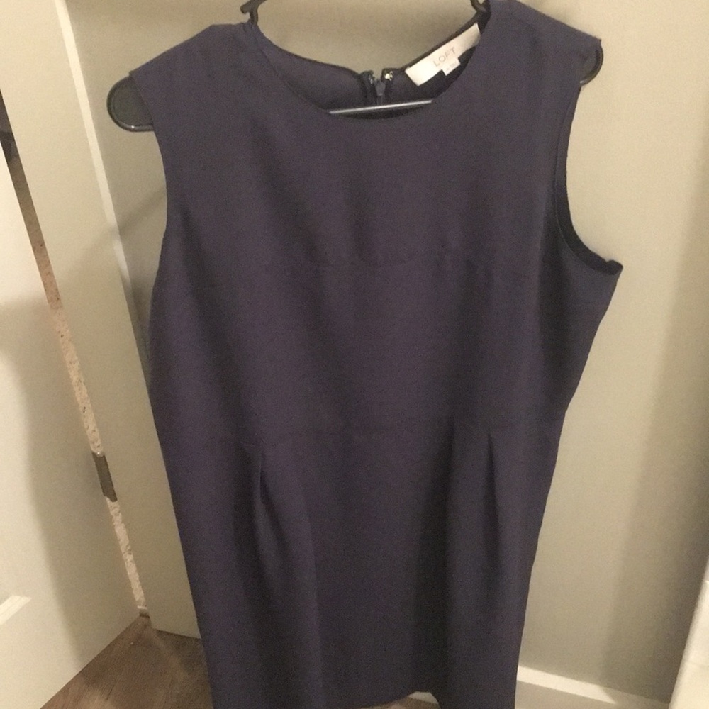 Loft Navy Pleated Dress